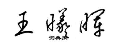 梁锦英王曦晖草书个性签名怎么写