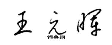 梁锦英王元晖草书个性签名怎么写