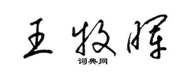 梁锦英王牧晖草书个性签名怎么写