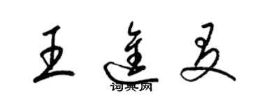 梁锦英王进友草书个性签名怎么写
