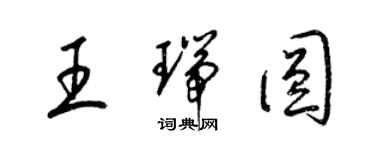 梁锦英王瑞圆草书个性签名怎么写