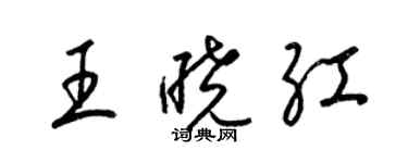 梁锦英王晓红草书个性签名怎么写