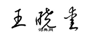 梁锦英王晓爱草书个性签名怎么写