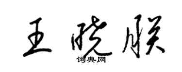 梁锦英王晓朕草书个性签名怎么写