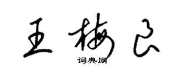 梁锦英王梅良草书个性签名怎么写