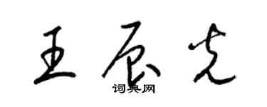 梁锦英王辰光草书个性签名怎么写