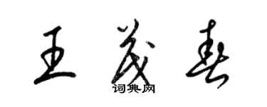 梁锦英王茂春草书个性签名怎么写