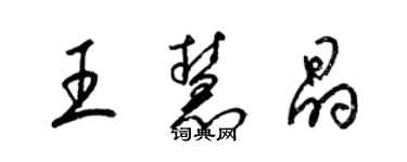 梁锦英王慧晶草书个性签名怎么写