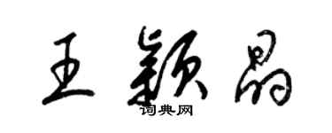 梁锦英王颖晶草书个性签名怎么写