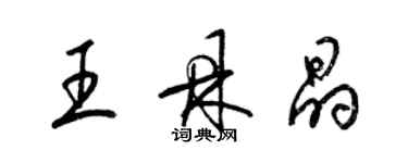 梁锦英王鼎晶草书个性签名怎么写