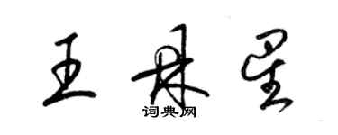 梁锦英王鼎星草书个性签名怎么写