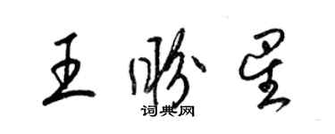 梁锦英王盼星草书个性签名怎么写