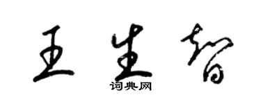 梁锦英王生智草书个性签名怎么写