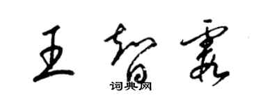 梁锦英王智霞草书个性签名怎么写