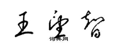 梁锦英王望智草书个性签名怎么写