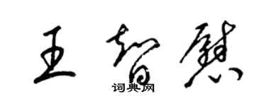 梁锦英王智慰草书个性签名怎么写