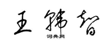 梁锦英王韩智草书个性签名怎么写