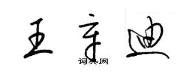 梁锦英王辛迪草书个性签名怎么写