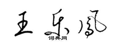 梁锦英王乐凤草书个性签名怎么写