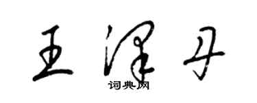 梁锦英王泽丹草书个性签名怎么写