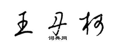 梁锦英王丹柯草书个性签名怎么写
