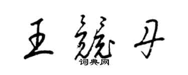 梁锦英王竞丹草书个性签名怎么写