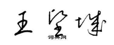 梁锦英王坚城草书个性签名怎么写