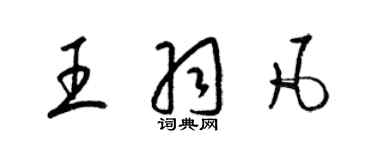梁锦英王羽凡草书个性签名怎么写