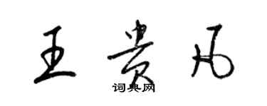 梁锦英王贵凡草书个性签名怎么写