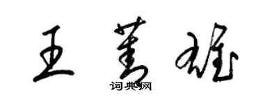 梁锦英王菁雄草书个性签名怎么写