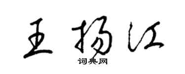 梁锦英王扬江草书个性签名怎么写