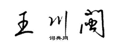 梁锦英王川闽草书个性签名怎么写