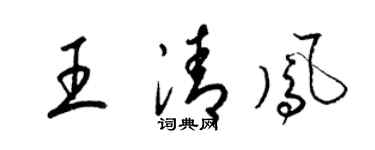 梁锦英王清凤草书个性签名怎么写