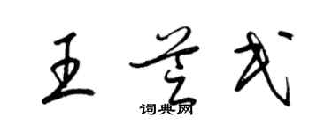 梁锦英王芝民草书个性签名怎么写
