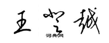 梁锦英王登越草书个性签名怎么写