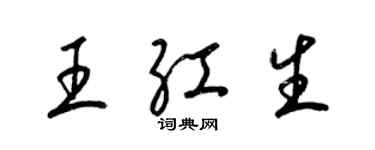 梁锦英王红生草书个性签名怎么写