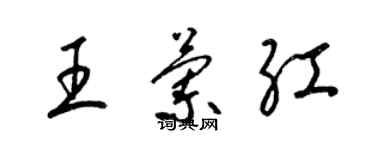 梁锦英王兰红草书个性签名怎么写
