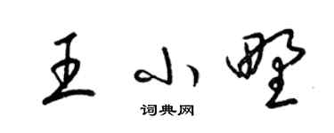 梁锦英王小野草书个性签名怎么写