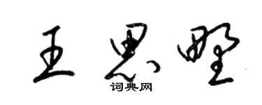 梁锦英王思野草书个性签名怎么写