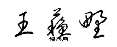 梁锦英王苏野草书个性签名怎么写
