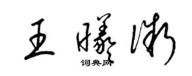 梁锦英王曦微草书个性签名怎么写