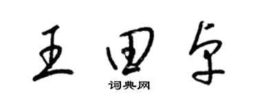 梁锦英王田卓草书个性签名怎么写