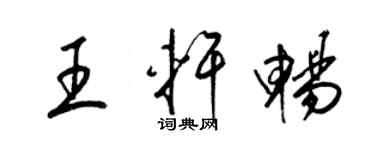 梁锦英王轩畅草书个性签名怎么写