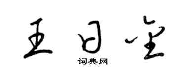 梁锦英王日金草书个性签名怎么写