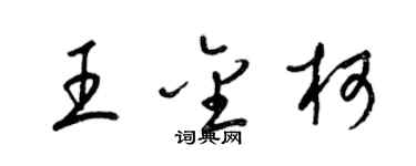 梁锦英王金柯草书个性签名怎么写