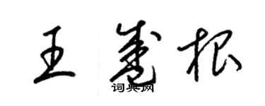 梁锦英王盛根草书个性签名怎么写