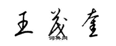 梁锦英王茂奎草书个性签名怎么写