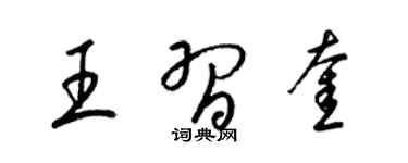 梁锦英王习奎草书个性签名怎么写