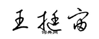 梁锦英王挺宙草书个性签名怎么写