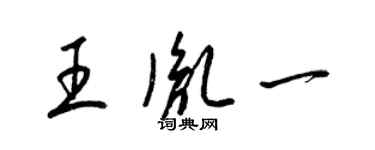 梁锦英王胤一草书个性签名怎么写